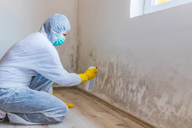 Licensed Mold Remediation service in Clifton, NJ - 24 Hour Mold Removal