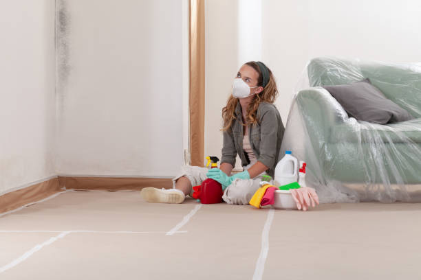 Reliable Mold Remediation contractor in Clifton, NJ by 24 Hour Mold Removal